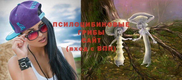 прущие крисы Михайловка