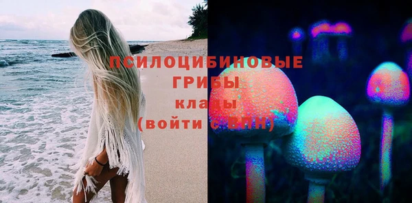 прущие крисы Михайловка